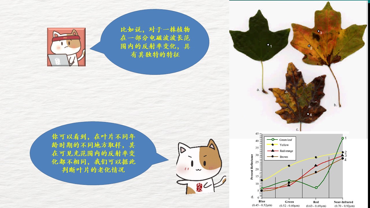 幻灯片11.jpg