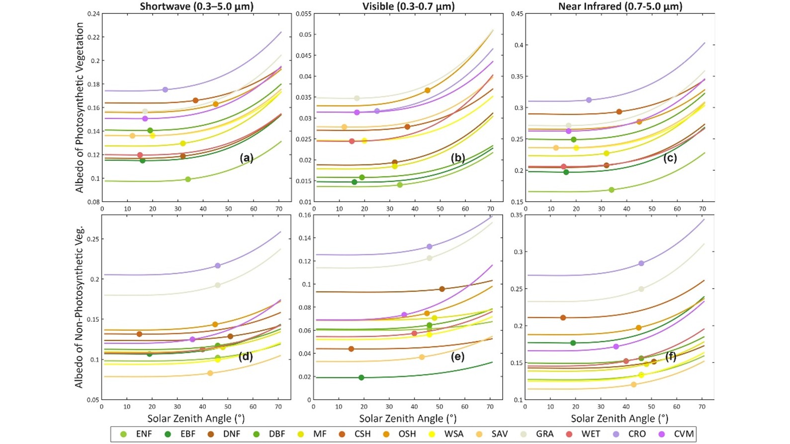 20250812175498539448504699.jpg 7.jpg